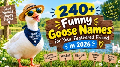 240+ funny goose names for your feathered friend in 2026 with a playful goose by a pond